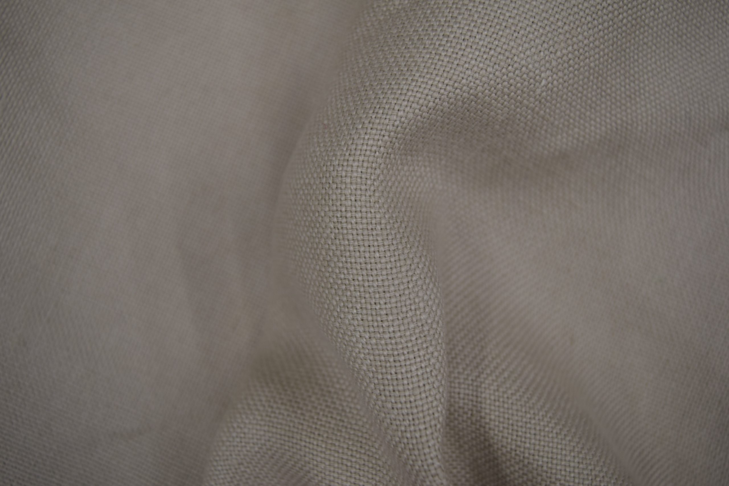 LINO GOYA - Imagen 2