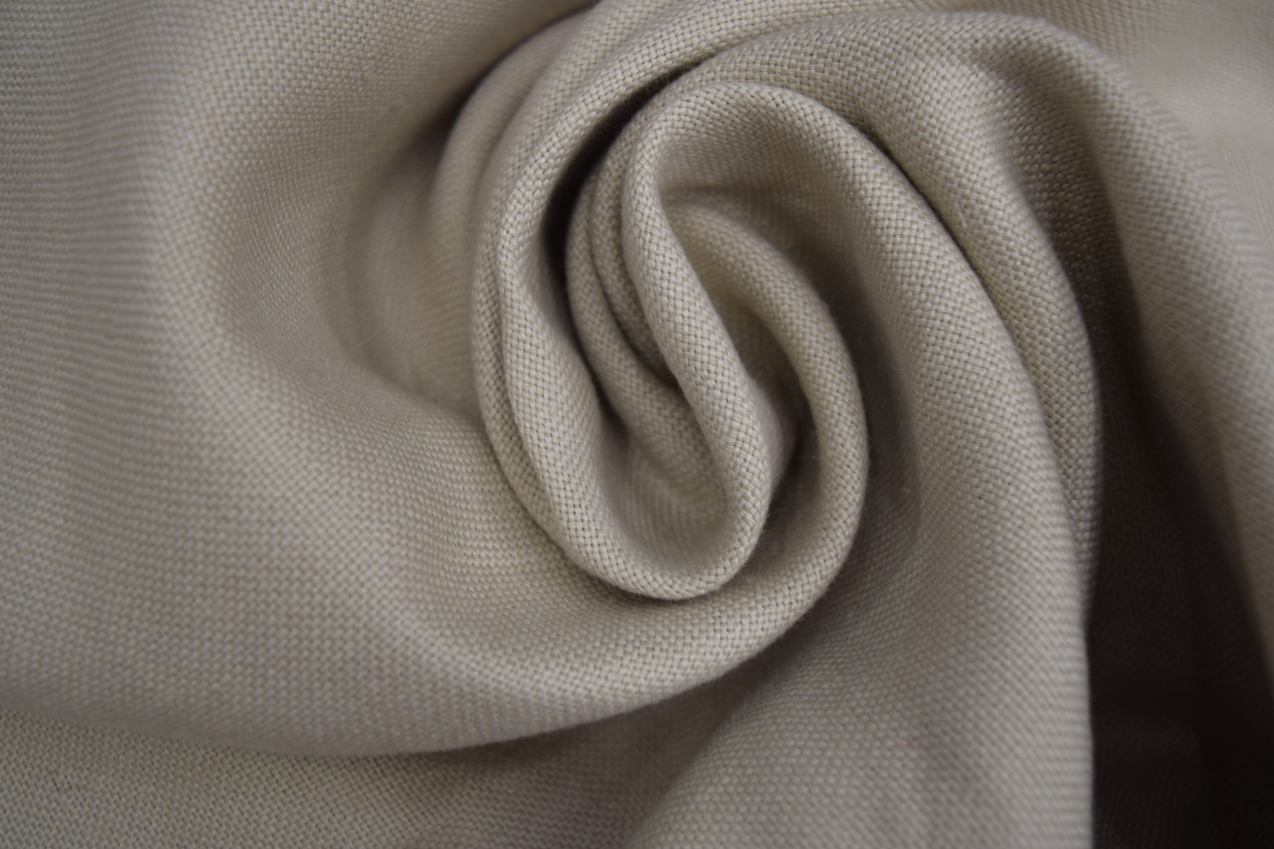 LINO GOYA - Imagen 3