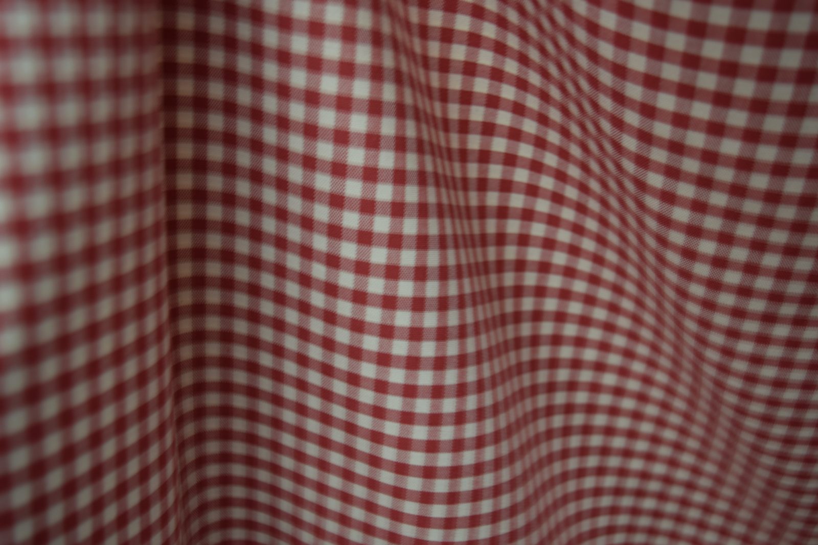 tela cuadro pequeño blanco rojo 100 algodon calpe 18 detalle lucio