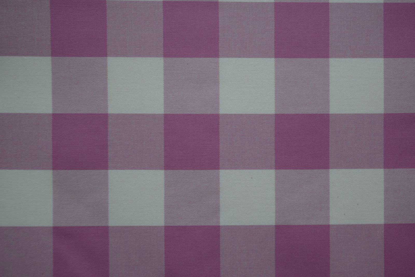 tela cuadros blanco rosa algodon 100 calpe 11 lucio