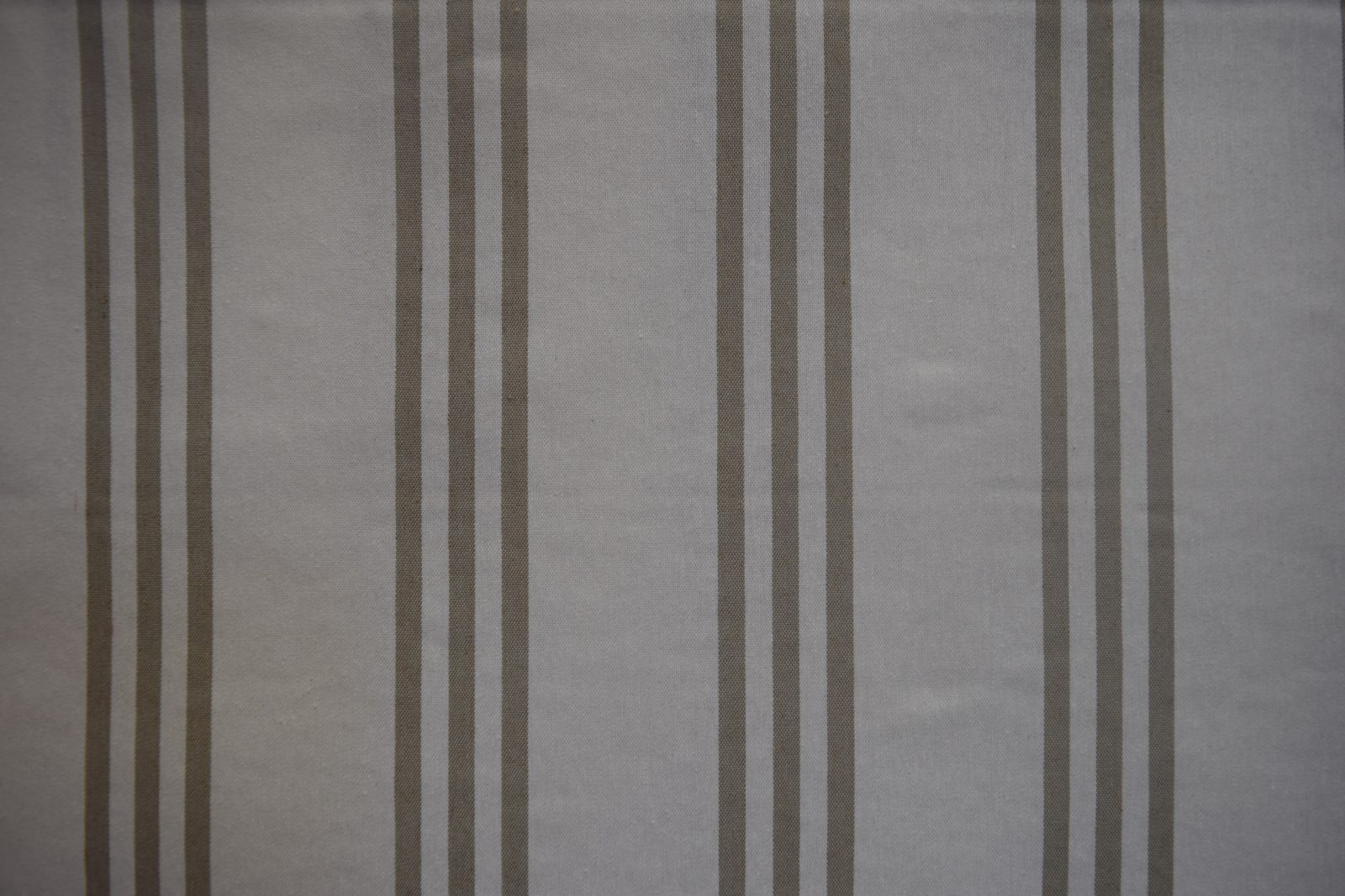 DSC 0894 scaled e1761925698877