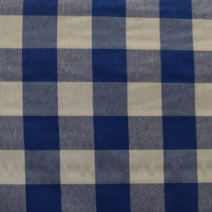 VICHY C/AZUL CLARO CUADRO GRANDE