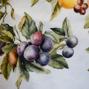 tela multicolor estampada algodon 100 claudia lucio