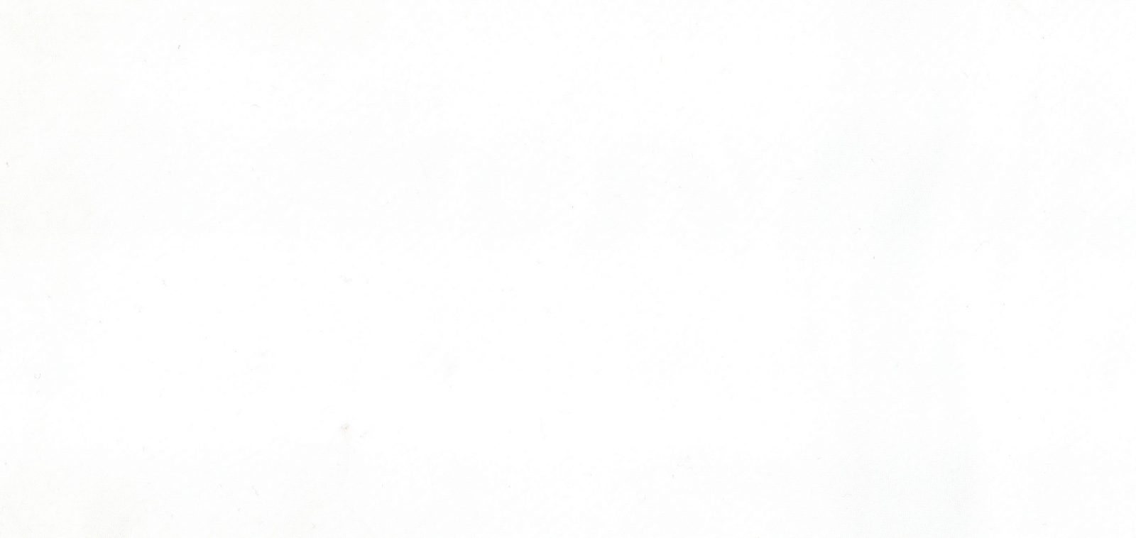 tela nylon sin recubrimiento blanco lucio