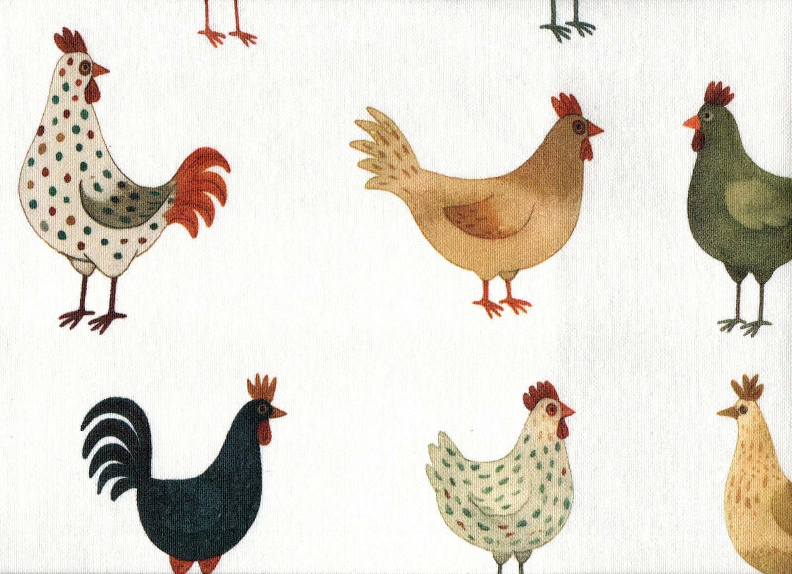tela resinada 50 algodon 50 poliester ancho 140 gallinas lucio